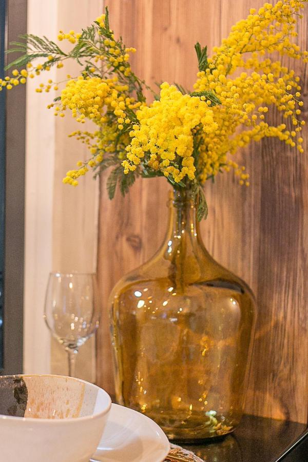 GMimosa Séjournez dans un esprit Boutique Hotel Marseille Extérieur photo